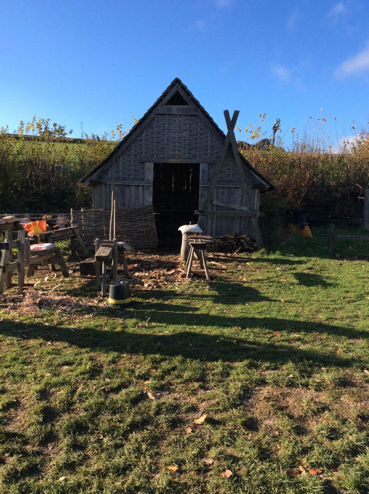 Butser Farm Trip Year 4